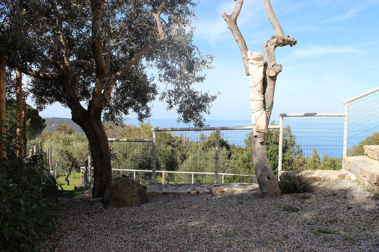 Country House Tagliaferro Marciana Marina  Εξωτερικό φωτογραφία